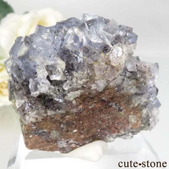 ڥ Emilio Mine ե饤Ȥդ No.5μ̿1 cute stone