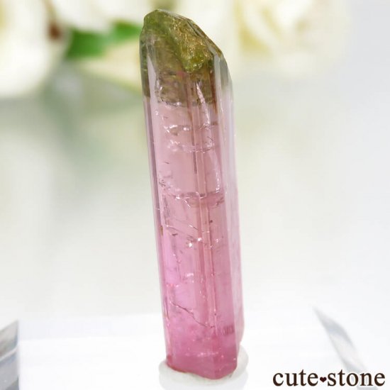 ֥饸 ߥʥ饤 ԥ󥯡ߥ꡼ȥޥθ No.14μ̿0 cute stone