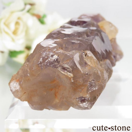 ܥӥ ʥۻ ȥθ No.2μ̿4 cute stone