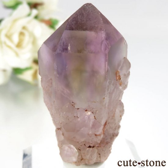 ܥӥ ʥۻ ȥθ No.3μ̿3 cute stone