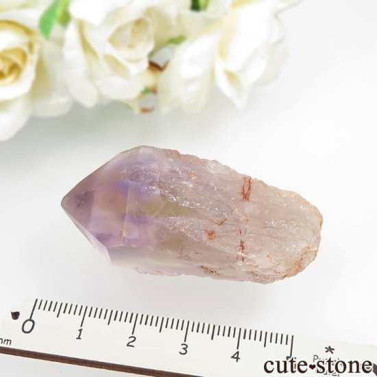 ܥӥ ʥۻ ȥθ No.3μ̿5 cute stone