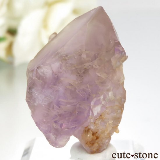 ܥӥ ʥۻ ȥθ No.4μ̿2 cute stone