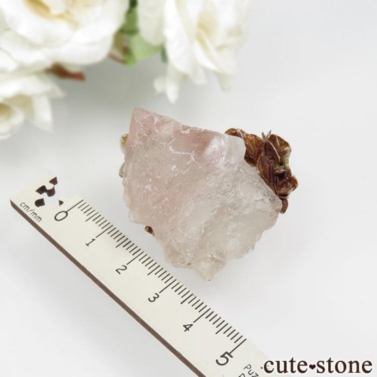 ѥ Chumar Bakhoor ԥ󥯥ե饤ȡ⥹ХȤθ No.57μ̿5 cute stone