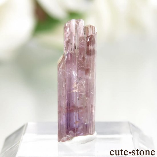 ˻ ԥ󥯡ߥȤη뾽ʸСNo.63μ̿2 cute stone