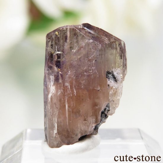 ˻ ԥ󥯡ߥѡץߥȤη뾽ʸСNo.64μ̿1 cute stone