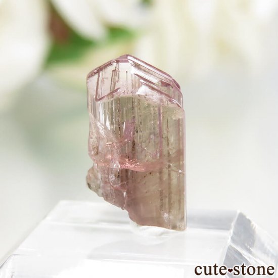 ˻ ԥ󥯡ߥȤη뾽ʸСNo.65μ̿1 cute stone