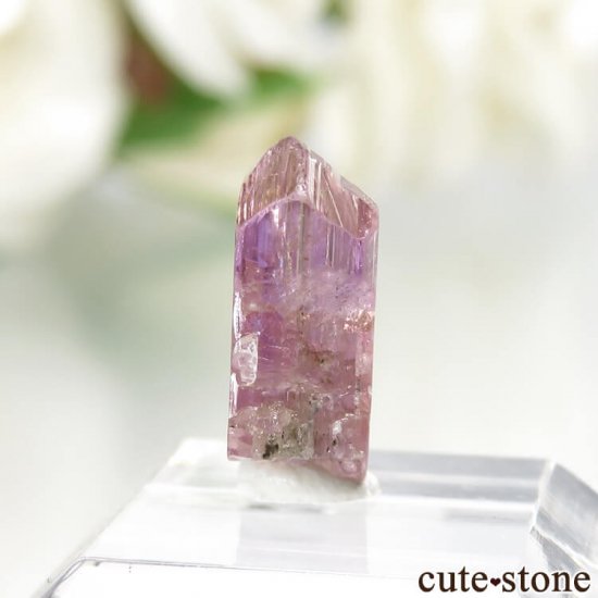 ˻ ԥ󥯡ߥȤη뾽ʸСNo.65μ̿2 cute stone