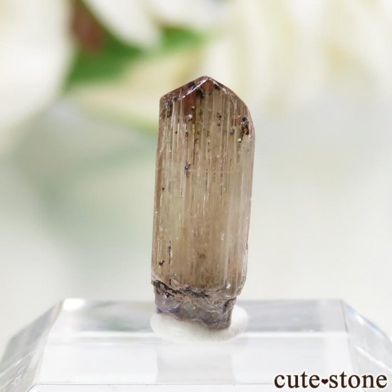 ˻ ԥ󥯡ߥѡץ֥롼ߥȤη뾽ʸСNo.66μ̿2 cute stone