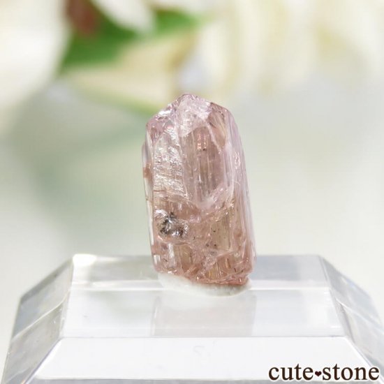 ˻ ԥ󥯡󥸥ԥ󥯥Ȥη뾽ʸСNo.67μ̿0 cute stone