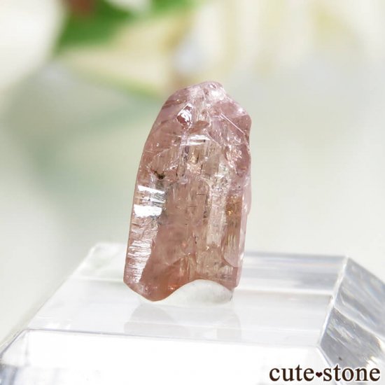 ˻ ԥ󥯡󥸥ԥ󥯥Ȥη뾽ʸСNo.67μ̿2 cute stone