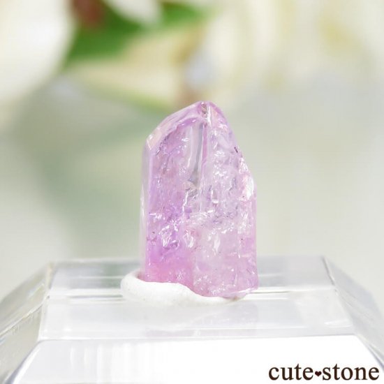˻ ԥ󥯥Ȥη뾽ʸСNo.68μ̿1 cute stone