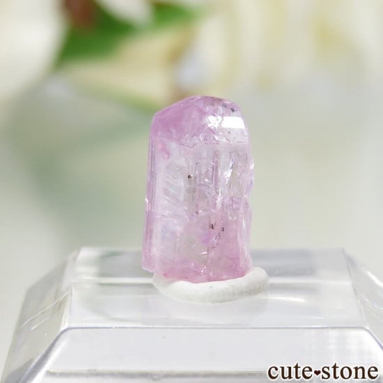 ˻ ԥ󥯥Ȥη뾽ʸСNo.68μ̿2 cute stone