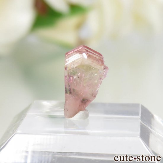 ˻ ԥ󥯡ߥȤη뾽ʸСNo.69μ̿1 cute stone