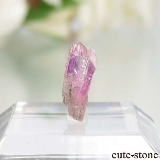 ˻ ԥ󥯡ߥȤη뾽ʸСNo.69μ̿2 cute stone