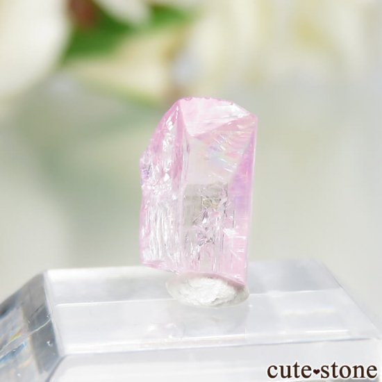 ˻ ԥ󥯥Ȥη뾽ʸСNo.70μ̿1 cute stone