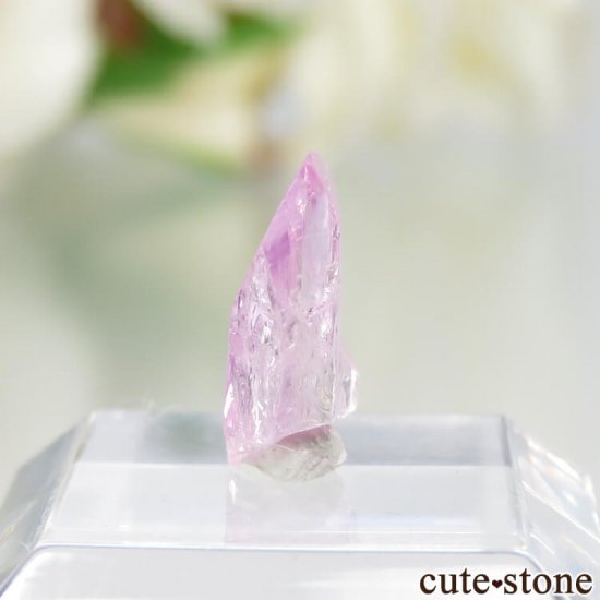 ˻ ԥ󥯥Ȥη뾽ʸСNo.70μ̿2 cute stone