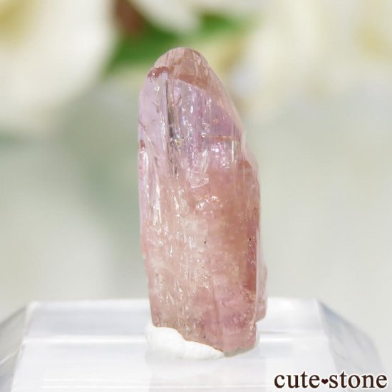 ˻ ԥ󥯡ߥ󥸥Ȥη뾽ʸСNo.72μ̿0 cute stone