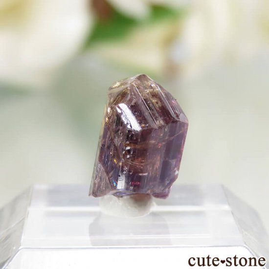 ˻ ԥ󥯡ѡץ륾Ȥη뾽ʸСNo.73μ̿2 cute stone