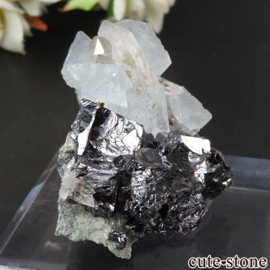  ͥ륹 Nikolaevskiy Mine ե饤ȡե饤ȡĤθ No.11μ̿0 cute stone