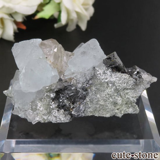  ͥ륹 Nikolaevskiy Mine ե饤ȡե饤ȡĤθ No.11μ̿1 cute stone
