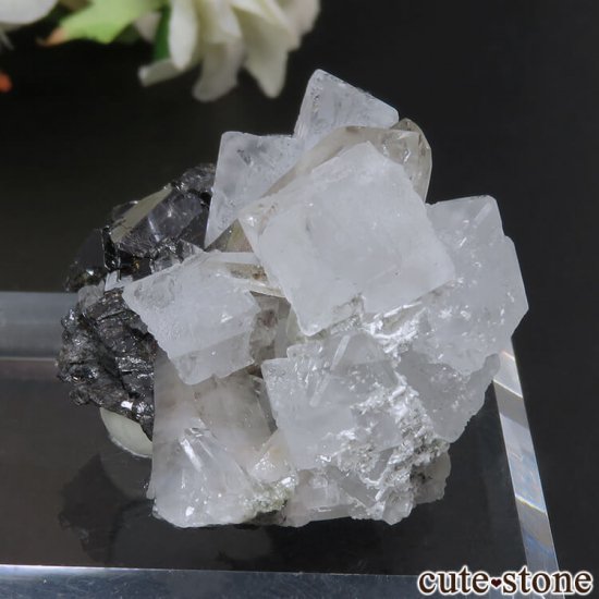  ͥ륹 Nikolaevskiy Mine ե饤ȡե饤ȡĤθ No.11μ̿2 cute stone