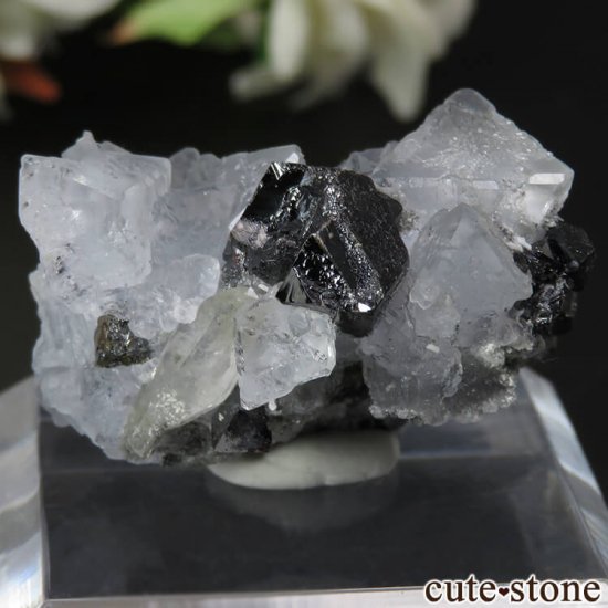  ͥ륹 Nikolaevskiy Mine ե饤ȡե饤ȡĤθ No.12μ̿1 cute stone