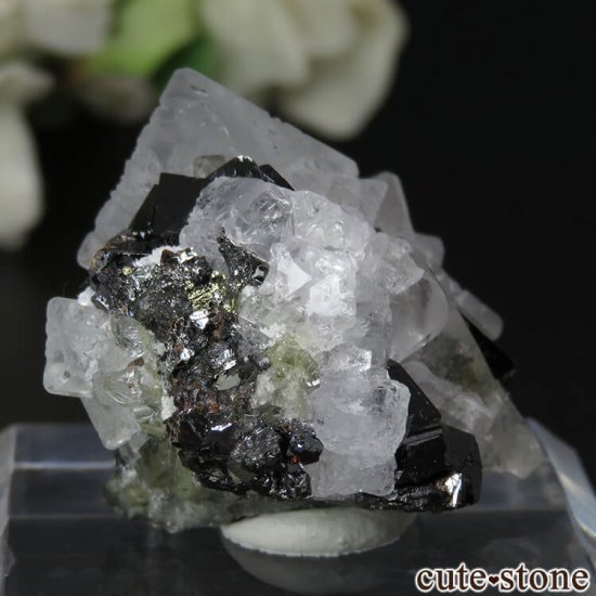  ͥ륹 Nikolaevskiy Mine ե饤ȡե饤ȡĤθ No.15μ̿0 cute stone