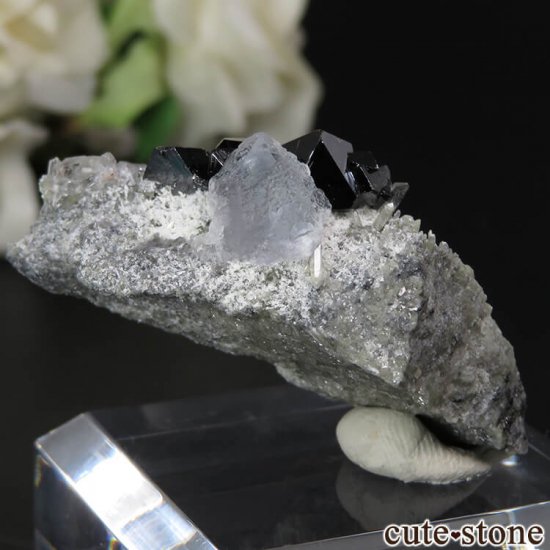  ͥ륹 Nikolaevskiy Mine ե饤ȡե饤ȡĤθ No.16μ̿0 cute stone