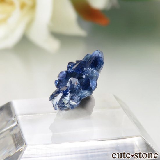 ե˥ California State Gem Mine ٥˥ȥȤθ No.102μ̿2 cute stone