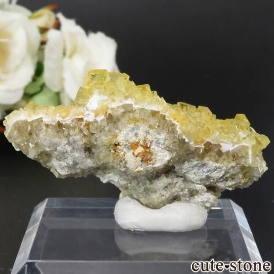 ڥ Gloria Mine ե饤Ȥθ No.1μ̿1 cute stone