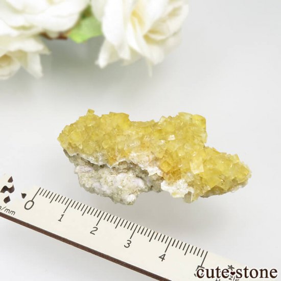 スペイン Gloria Mine産 イエローフローライトの原石 No.1の写真4 cute stone
