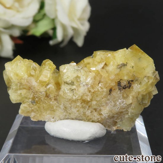 スペイン Gloria Mine産 イエローフローライトの原石 No.2の写真1 cute stone