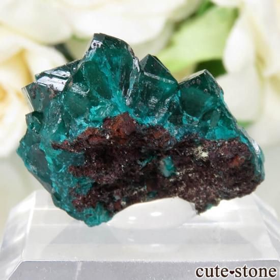  Reneville ץơθ No.14μ̿1 cute stone