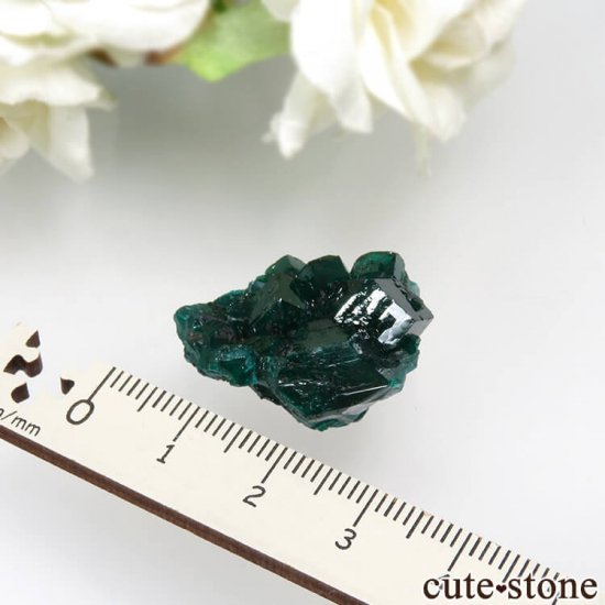 コンゴ Reneville産 ダイオプテーズの原石 No.14の写真3 cute stone