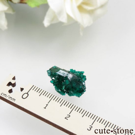  Reneville ץơθ No.15μ̿3 cute stone