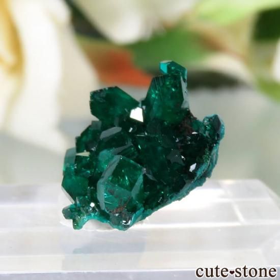  Reneville ץơθ No.16μ̿2 cute stone