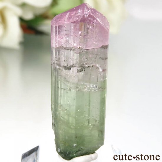 アフガニスタン Paprok産 ピンク×グリーントルマリンの原石 No.7の写真1 cute stone