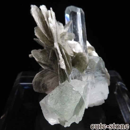 ѥ Chumar Bakhoor ޥե饤ȡѥȡ⥹ХȤη뾽ʸС No.7μ̿2 cute stone