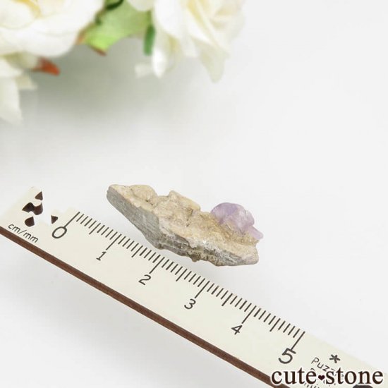 ѥ 뻺 ѡץ륢ѥȡ⥹ХȤθ No.10μ̿2 cute stone