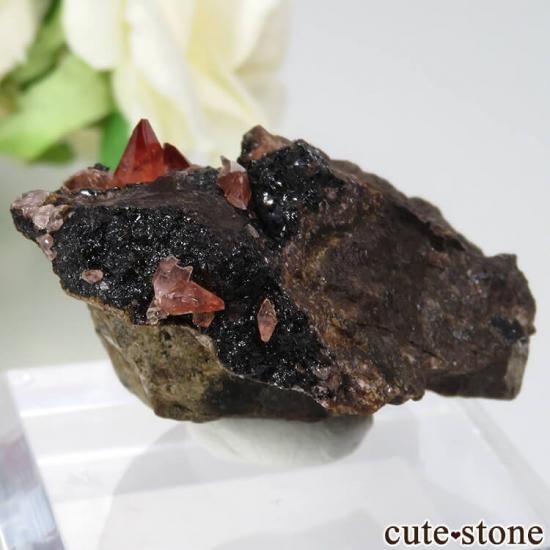 ڥ롼 ɥȤդ No.29μ̿1 cute stone