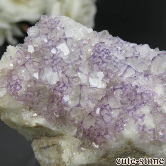  Qinglong Mine ѡץߥۥ磻ȥե饤 No.16μ̿2 cute stone