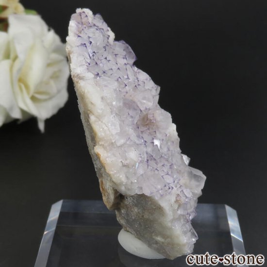  Qinglong Mine ѡץߥۥ磻ȥե饤 No.17μ̿0 cute stone