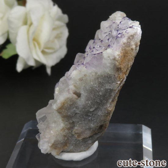  Qinglong Mine ѡץߥۥ磻ȥե饤 No.17μ̿2 cute stone