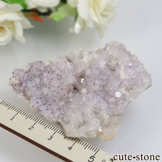  Qinglong Mine ѡץߥۥ磻ȥե饤 No.17μ̿4 cute stone