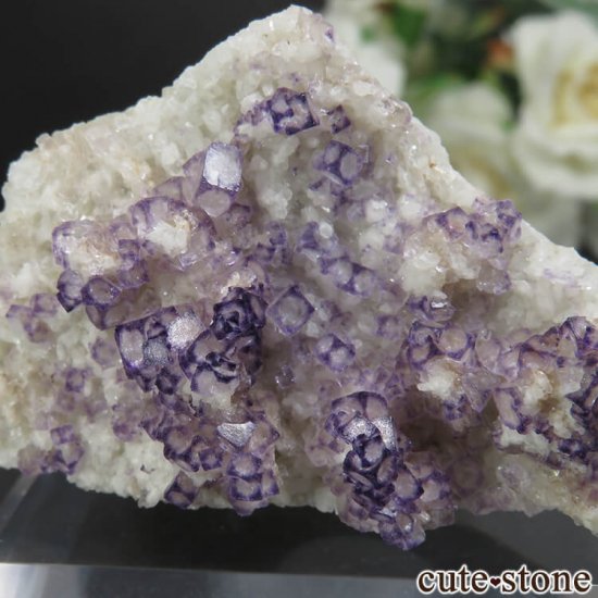  Qinglong Mine ѡץߥۥ磻ȥե饤 No.18μ̿2 cute stone