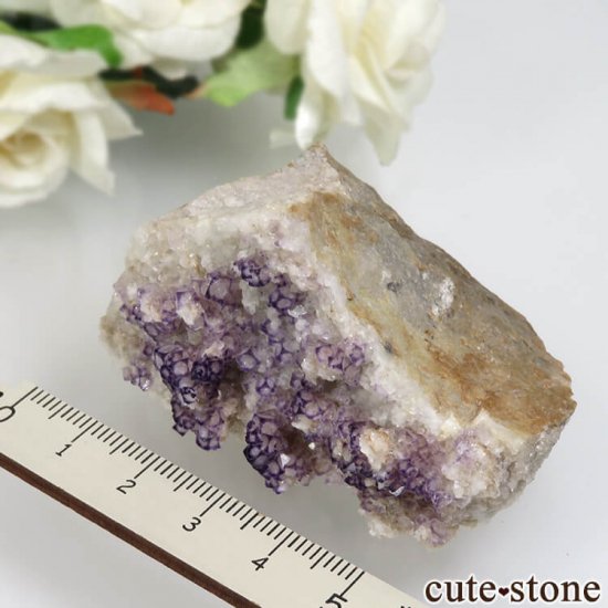  Qinglong Mine ѡץߥۥ磻ȥե饤 No.18μ̿4 cute stone