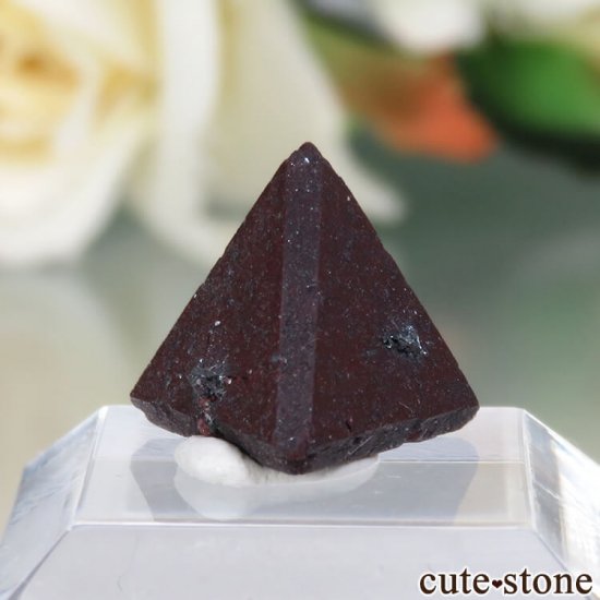  Qalat Payeen ˥ȡʥСˤθ No.6μ̿0 cute stone