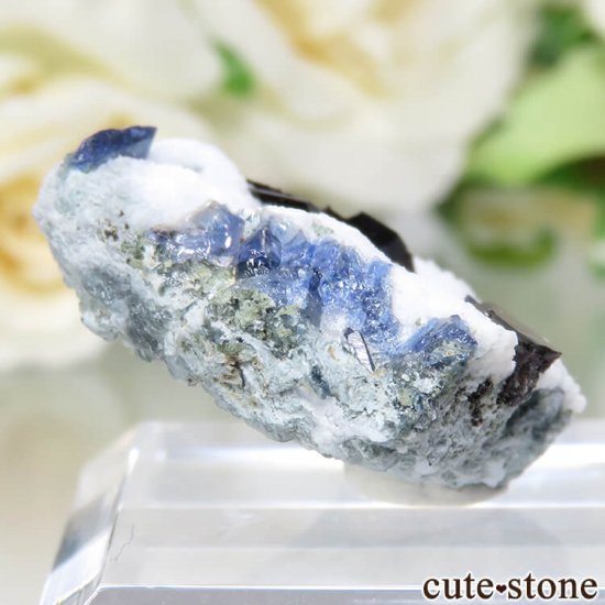 ե˥ California State Gem Mine ٥˥ȥȡͥץʥȤθ No.103μ̿0 cute stone
