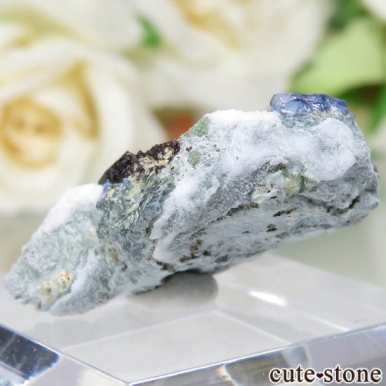 ե˥ California State Gem Mine ٥˥ȥȡͥץʥȤθ No.103μ̿1 cute stone