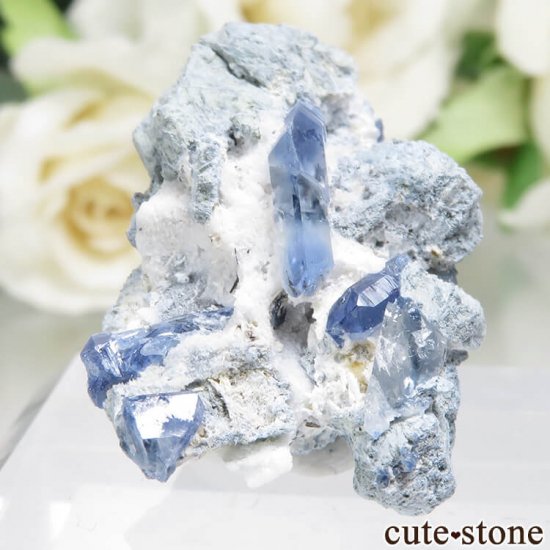ե˥ California State Gem Mine ٥˥ȥȤθ No.105μ̿0 cute stone